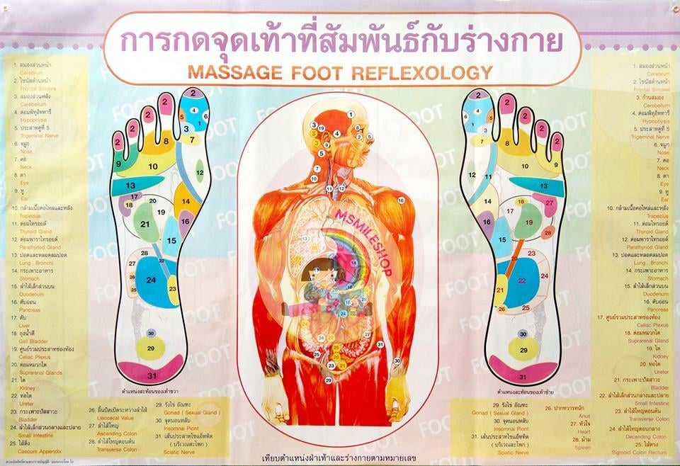 Foot Massage & Reflexology